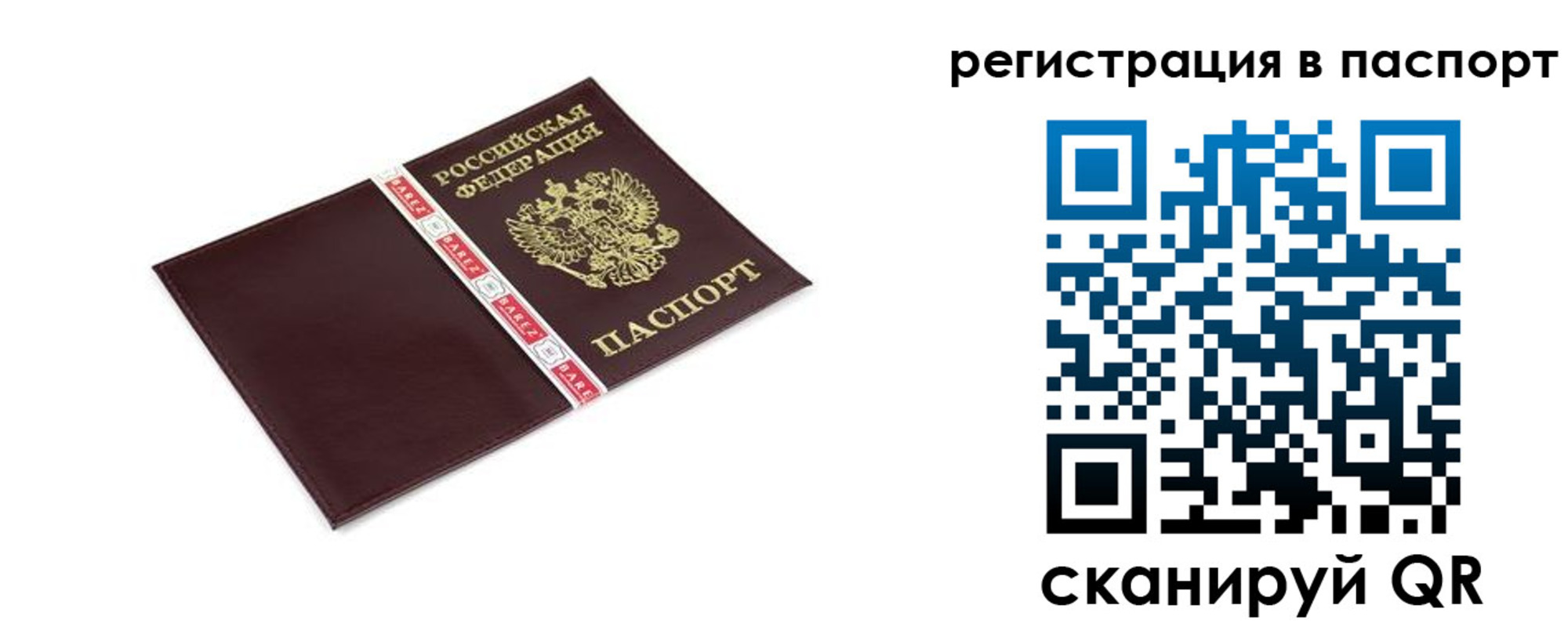 пропишу в квартире в Клинцах